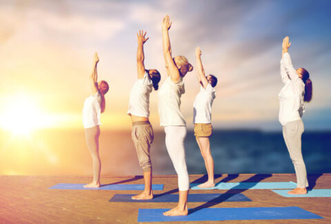 best wellness programs for companies
