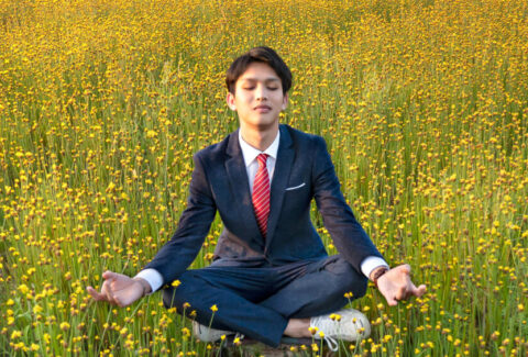 manifestation for beginners